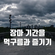 피할 수 없는 장마 기간을 먹구름과 함께 즐겨본 산책