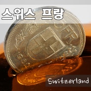 스위스 프랑 트래블로그 트래블월렛 국민은행 환전 비용 비교 의외의 결과