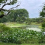 일본 도쿄 여행 코스 무료 가볼만한곳 추천 고쿄가이엔 니노마루 정원