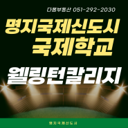 명지국제시도시 세계적 명문학교 웰링턴 칼리지 부산 캠퍼스 설립 추진/영국의 명문학교 설립될 전망