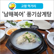 [고령 먹거리] 여름 보양식 20년 전통 맛집 '남해복어' 풍기삼계탕