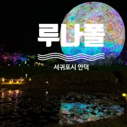 제주 야외 야간명소 제주 미디어아트로 밤 시간 즐기기 서귀포 가볼만한 곳 루나폴