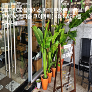 [호치민 핫플레이스 카페]한국인 유튜브 코이TV 커피숍 코이카페( KOICAFE)만나다