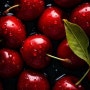 [마인드 오버 바디] 달콤함에 농염함을 더한 Midnight Cherry