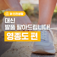 [iH 인천생활] 발품 대신 팔아드립니다! 영종도 편