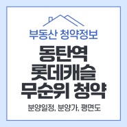 동탄역 롯데캐슬 무순위 청약 정보