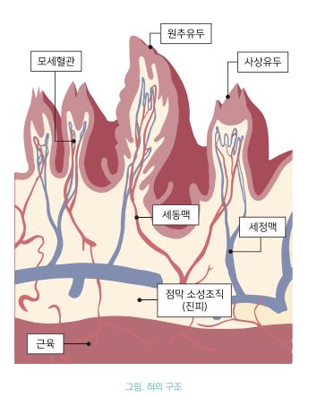 설진에 대한 고민과 공부 : 네이버 블로그