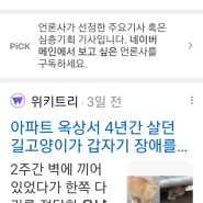 위키트리 함께할개 - 길고양이 옥냥이 사연을 올려주셨어요.