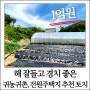 [매매] 갑천면 구방리, 해 잘들고 경치좋은 귀농귀촌, 전원주택지 추천 토지 (15)