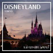 일본 도쿄 디즈니랜드 후기 놀이기구 퍼레이드 도쿄 자유여행