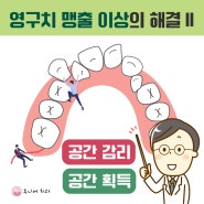 [총생, 덧니] 영구치 맹출 이상의 해결 방법 2