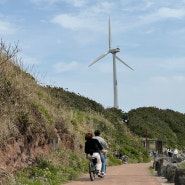 오늘의 띠별 운세 7월 24일