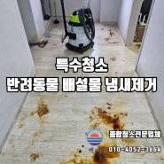 창원특수청소 업체 반려동물 배설물 냄새제거 및 살균 소독까지