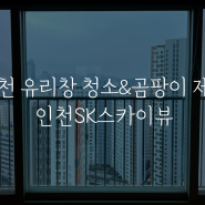 인천 아파트 창문 청소 후기 - 인천SK스카이뷰 아파트 창틀 실리콘 곰팡이 제거까지