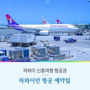 하와이 인천 항공권 가격 자유여행 하와이안 항공 예약 수화물 비행시간 정보