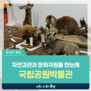 대전 유성구 아이와 가볼만한 곳, 자연경관과 문화자원을 한눈에 '계룡산 국립공원박물관'