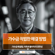 가수금 뜻 발생원인 과세리스크 처리방법까지