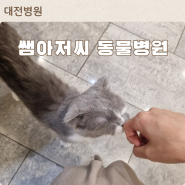 대전동물병원추천/쌤아저씨 현대종합동물병원 과잉진료없는 동물병원 강아지 귓병 진료 후기