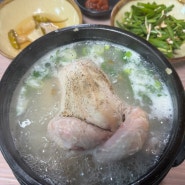 진주 문산 삼계탕 맛집 “석원”