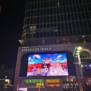 일본 도쿄 신주쿠 밤나들이 신오쿠보 & 가부키쵸 타워