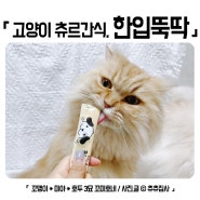 고양이 츄르간식 펫토리아 한입뚝딱 츄르