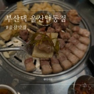 울산 남구 삼산 달동 맛집 부산댁 울산달동점 회식 추천