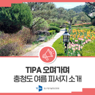 [TIPA 오며가며] 충청도 여름 피서지 소개(금산 하늘물빛정원/보은 만수계곡/충주 활옥동굴/태안 만리포 해수욕장)