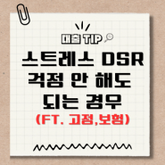 스트레스 DSR 아예 걱정 안해도 되는 경우 3가지