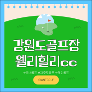 웰리힐리cc 강원도 여름골프 시원한 코스에서 1박2일 패키지