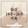 [임신기록] #19, 임신 19주~26주 몸상태