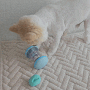 <파미고펫> 강아지 고양이 장난감 노즈워크 롤러 솔직 후기