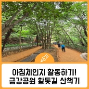 부산교육 아침體仁智 활동하기 좋은 곳, 금강공원 황톳길 산책기