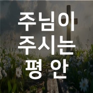 주님이 주시는 평안