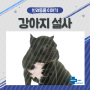 로얄동물메디컬센터 : 강아지 설사 이유 대처법 치료법 강아지 설사 종류