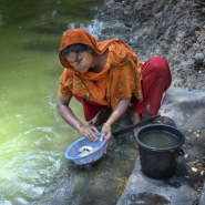 방글라데시: "재난에 휩쓸리지 않겠어요"