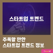 주목할 만한 스타트업 트렌드 알아보기 (생성형AI활용, 디지털헬스케어 사례 등)