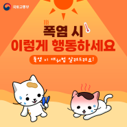 폭염 시 이렇게 행동하세요! 대처법을 알려드려요!