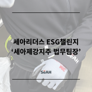 세아제강지주 법무팀장의 플로깅 챌린지