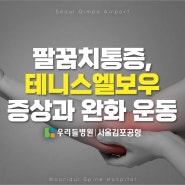 팔꿈치 통증, 테니스엘보우 증상과 완화 운동｜우리들병원 서울김포공항