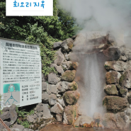 벳푸 버스로 지옥온천 순례 - 회오리 지옥(타츠마키지고쿠), 벳푸 버스 1일권