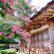 대전 배롱나무 명소 남간정사 우암사적공원 산책