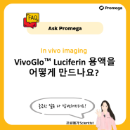 [Ask promega] VivoGlo™ Luciferin 용액을 어떻게 만드나요?