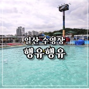 일산 수영장 행유행유 카바나존 입장권 야간개장 후기