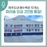 제주도 해수욕장 10개소 파라솔 요금 2만원 통일!