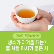 수분 보충이 필수인 요즘! 생수가 지겨울 때는? 물 처럼 마셔도 되는 차