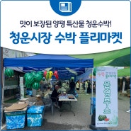 맛이 보장된 양평 특산물 청운수박! '청운시장 수박 플리마켓'