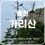 홍천9경 가리산 등산코스 휴양림 원점회귀