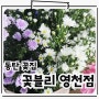 동탄 영천동꽃집 센스있는 집들이 화분 선물 '꽃블리 동탄영천점'