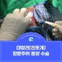 대형견(진돗개) 항문주위 종양 수술 : 수술전문동물병원 l 가디언동물의료센터(빅독클리닉)