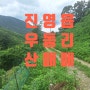진영임야. 김해시 진영읍 우동리산 1만 평 3억 5천 매매